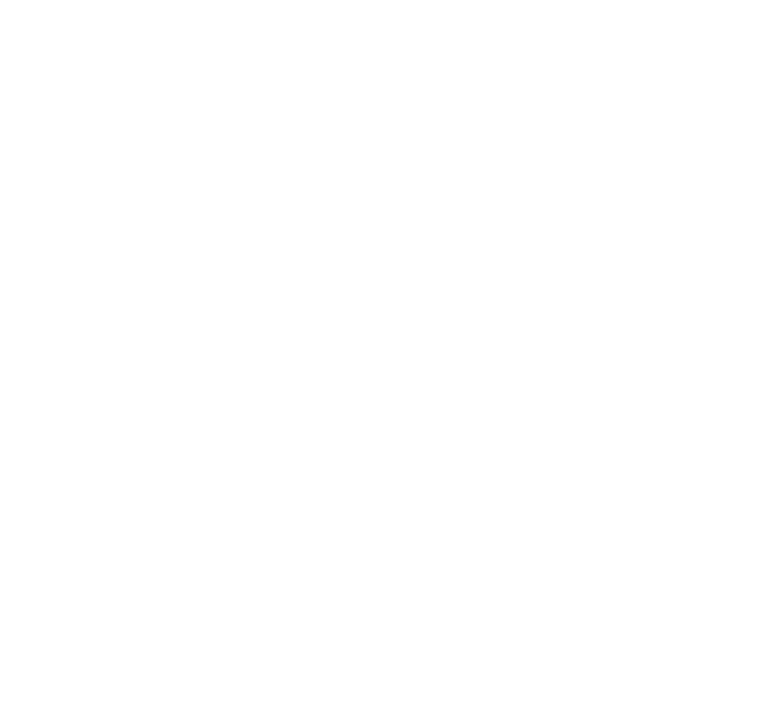 FT WHITE LOGO_WEB